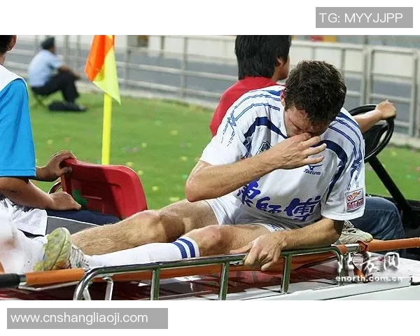 海内外足坛巨星汇聚 海字球员引领足球风潮